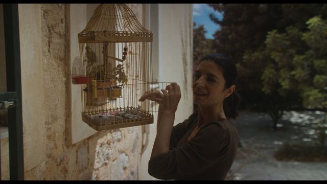 Samos Cinema Festival — photo 41