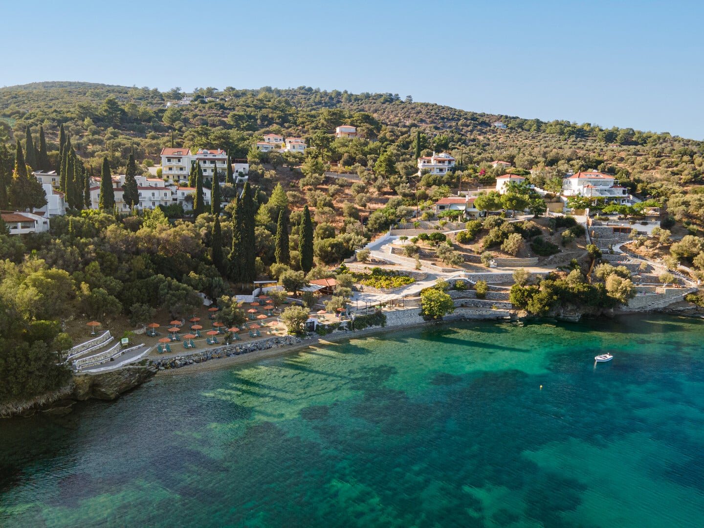 Aerial view of the festival's olive-grove venue beside the Aegean